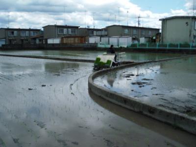DSCF9506.jpg