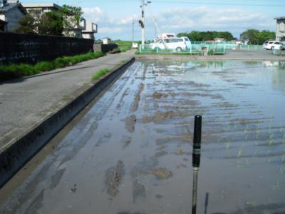 DSCF9507.jpg
