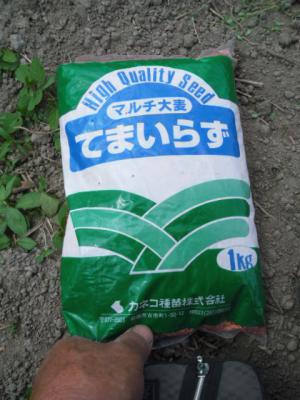 DSCF9536.jpg