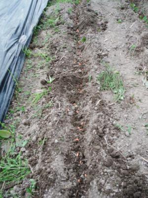 DSCF9538.jpg