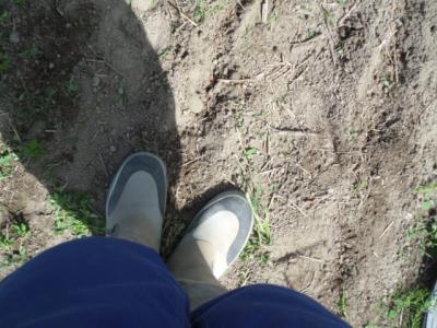 DSCF9543.jpg