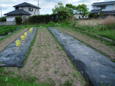 DSCF9546.jpg