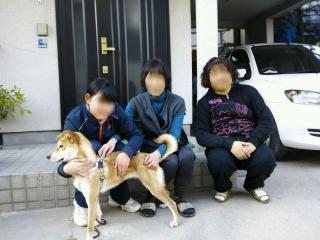 畑賀ちゃん 雑種犬 ♀ 2才 決定 広島 犬 里親募集
