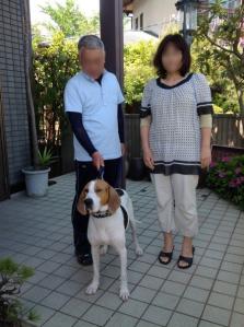 広島 雑種犬 飼い主さん決定 サントス