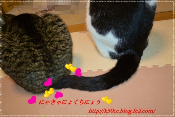s11-4_201402111422507eb.jpg