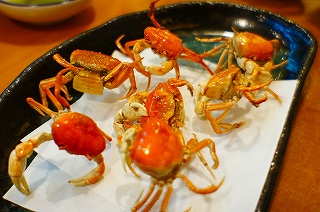 DSC03730.jpg