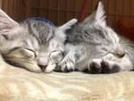 20131203120146cee.jpg