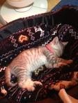 20131203120148e91.jpg