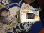 20131203120150bc9.jpg