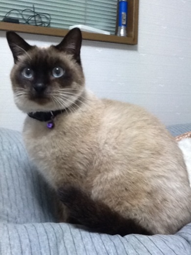 2013123020343655c.jpg