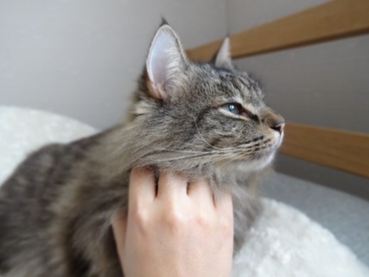 2013123020451398b.jpg