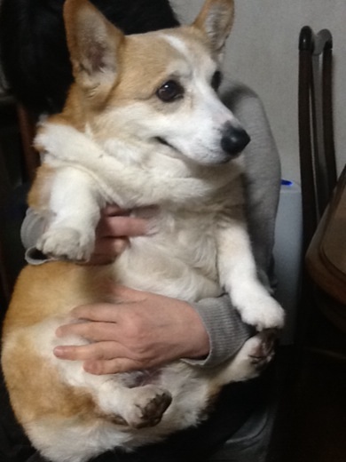 20131230205654307.jpg