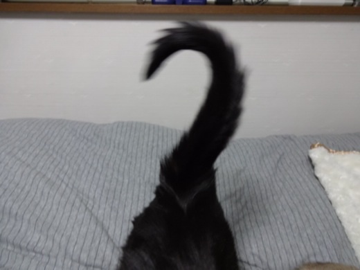 20131230213058b1e.jpg