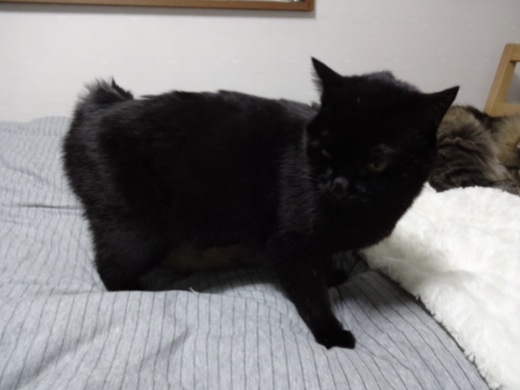 20131230213102d2c.jpg