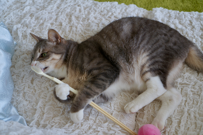 DSC03674.jpg