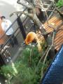 201109251409000.jpg
