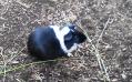 201109251419001.jpg