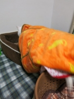 IMG_3767.jpg