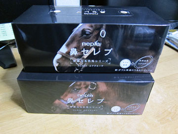 hana-serebu-004.jpg
