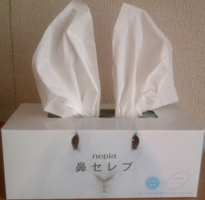耳長のうさぎちゃん