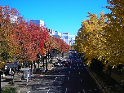 会社の近くの若宮大通の様子