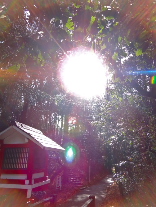 鷺森神社