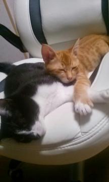 fc2_2014-09-26_00-03-27-125.jpg