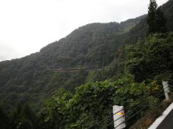福井19