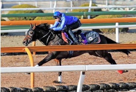 【武豊】28年連続重賞制覇の偉業