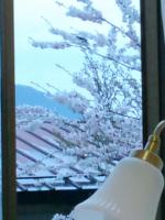 宿より桜