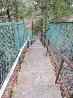 宮城野への道