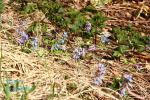 130505-2.jpg