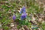 130505-4.jpg