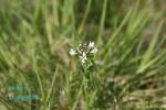 130527-4.jpg