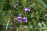 130527-5.jpg