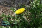 130527-6.jpg