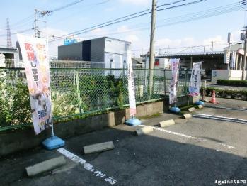tamayu03.jpg