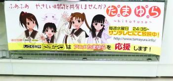 tamayu06.jpg