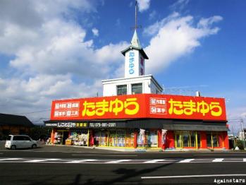 tamayu08.jpg