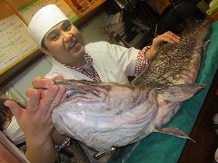 IMG_0118.jpg