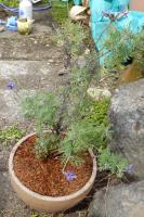20120421_01.jpg