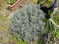 20120424_03.jpg