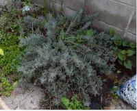 20120424_04.jpg