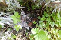 20120424_05.jpg