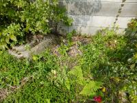 20120424_06.jpg