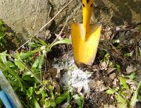 20120424_07.jpg
