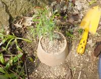 20120424_10.jpg