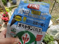 20120424_12.jpg