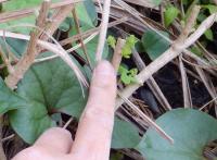 20120424_15.jpg