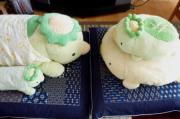 みんな元気です